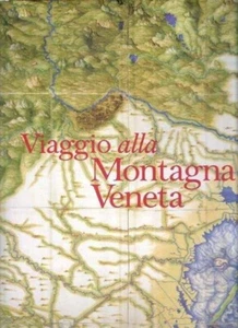 VIAGGIO ALLA MONTAGNA VENETA a cura di Eugenio Turri FONDAZIONE CARIVERONA 2006 - Picture 1 of 1