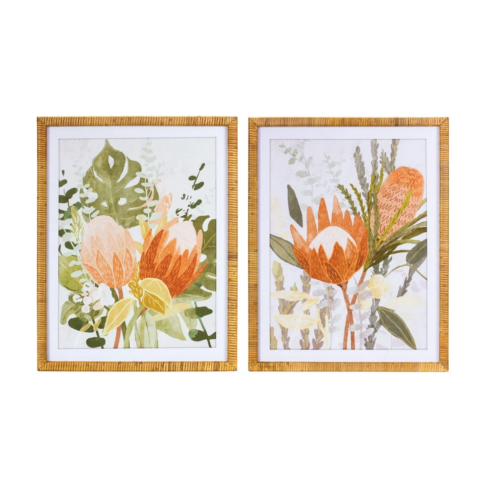 Framed Protea Floral Wall Art (Set of 2) - Image 1 of 1