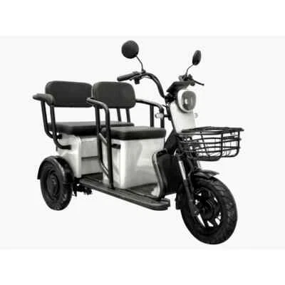 Seniorenfahrzeug Elektro Scooter Trike Dreirad Seniorenmobil 3 Rad 25 km/h APM5 - Bild 1 von 4