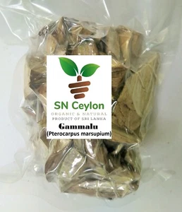 Pterocarpus marsupium Gammalu Indischer Kino Baum Vijaysar Ceylon Kräuter 250g-750g - Bild 1 von 14