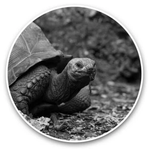 2 x Vinyl Stickers 30cm (bw) - Tortoise Turtle Garden Animal  #37730 - Bild 1 von 8