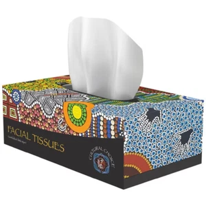 Cultural Choice Facial Tissues 2 Ply 200 Sheets 24 Boxes 4800 Sheets - Picture 1 of 12