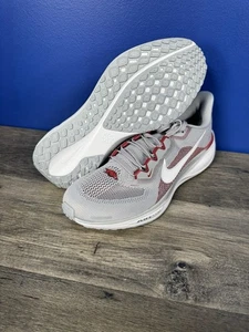 Nike Arkansas Razorbacks NCAA x Pegasus 41 Fútbol FZ5105-001 Hombres Talla 10 - Imagen 1 de 7