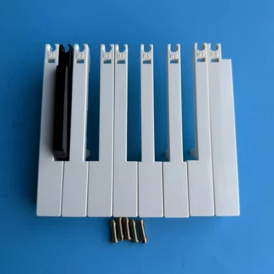 M-AUDIO KeyStation 61 teclas de teclado MIDI blanco negro resorte de teclas [Seleccionar pieza] Foto 1 de 4