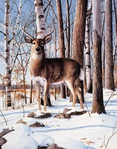 Stampa artistica Simply Curious Kevin Daniel 12x16 - Foto 1 di 1