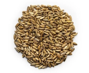 Milk Thistle Seeds Organic Certified Natural UK Gut Health Benefits 10g-2KG - Picture 1 of 2