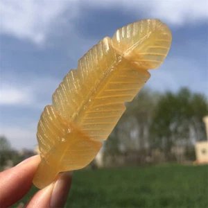 3"+ Carved Natural Geode Stone Feather Quartz Crystal Wings Specimen Gift 1pc - Picture 1 of 24