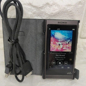SONY Walkman A Series Nw-A50Series 64GB - Picture 1 of 14