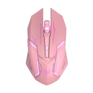 Mouse 2.4G Computer Mouse Laptop USB Rechargeable Mute Backlit Mouse Cute6329 - Afbeelding 1 van 7