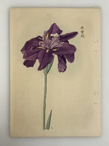 Japanese Iris Woodblock Print Hand Colored 1921 Manabu Miyoshi Botanical Antique - Picture 1 of 8