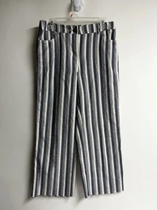 Chico's Women Blue/beige Striped Casual Pants Cotton Sz 0 Elastic Back Waist - Picture 1 of 9