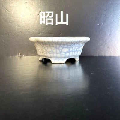 Maceta Bonsai SHOZAN TOKONAME Forma Mokko W12.4cm D11cm H4.9cm Blanco Esmaltado Foto 1 de 4