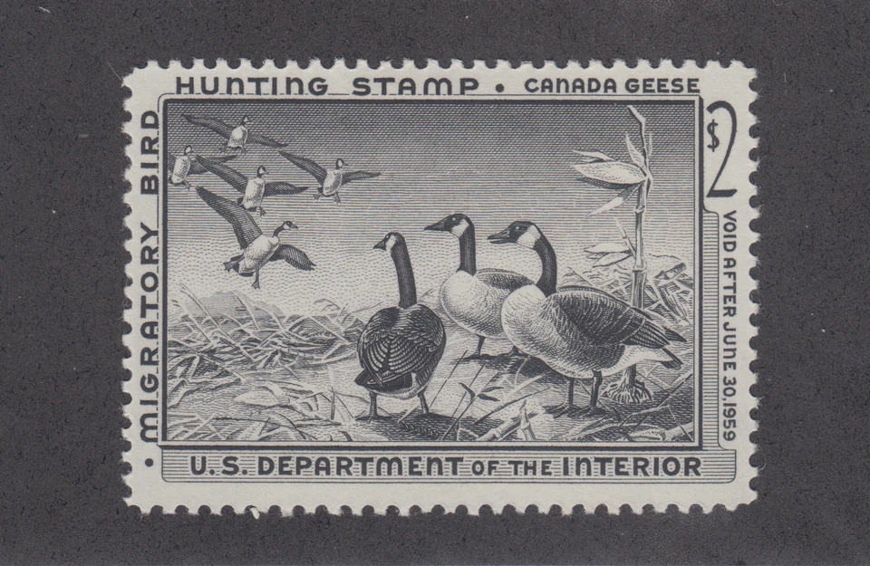 US Sc RW25 MLH. 1958 $2 Duck Hunting Permit Stamp   - Image 1 of 1