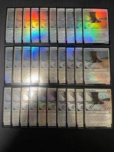 MTG FOIL Tempest Hawk ×30 Tarkir: Dragonstorm TDM Magic MTG Commander English - Picture 1 of 17