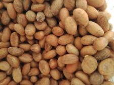 Organic Bitter Kola Nut (Garcinia Kola) 1LB- W/Africa