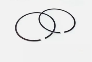 Piston Rings Set fits for Johnson Evinrude WSM Outboard 85-300 Hp 200-110 394930 - Foto 1 di 6