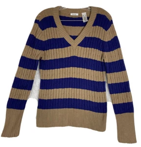 Liz & Co. Long Sleeve V-Neck Sweater Purple Brown Stripes Size XL - Picture 1 of 9