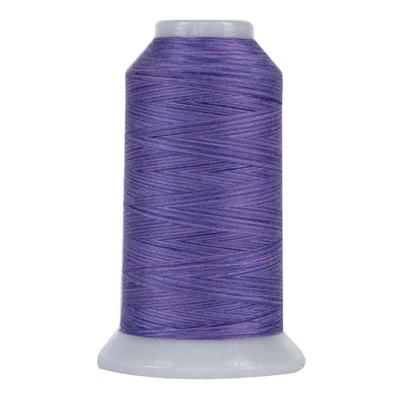 Omni-9019-Lydia-Variegated Polyester Thread 40wt 2000yd - Image 1 of 4
