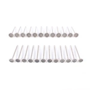 3.0 Intake &Exhaust Valve Kit Fit For BMW 125i 330i 528i 630i 730i X3 X5 Z4 - Picture 1 of 14