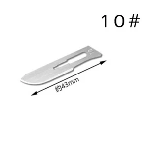 100 piezas Cuchillo de talla de acero al carbono estéril hoja bisturí veterinario No.10 - Imagen 1 de 4
