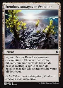 MRM English 4x �tendues sauvages en �volution (Evolving Wilds) MTG magic BFZ - Picture 1 of 1