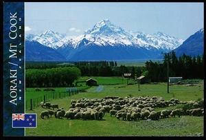 Aoraki Mount Cook Mountain New Zealand Postcard - Picture 1 of 2