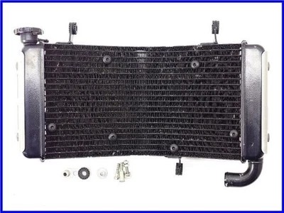 Radiador redondo genuino DUCATI 2002 Monster S4  Foto 1 de 4