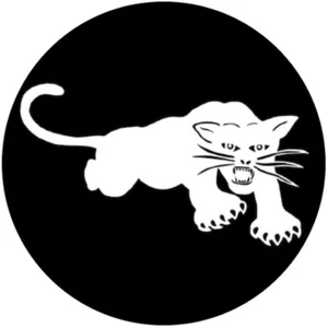 Imán/Magnet White Panther Party . mc5 detroit john sincalir - Imagen 1 de 2