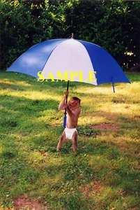 Tier Planet Stern AFFE HÄLT REGENSCHIRM "Poster" - Bild 1 von 1