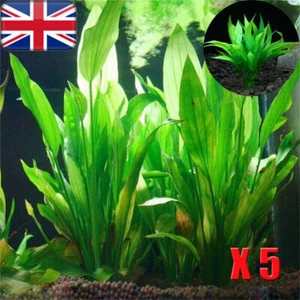 5Pcs Artificial Fake Plastic Water Grass Plants_For Fish Tank Aquarium Decors,UK - Picture 1 of 13