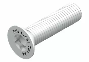 ISO 14581 M 2,5 (ähnl. DIN 965) Senkkopf TorxAntrieb A4 inkl 1 Bit gratis - Bild 1 von 2