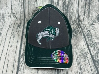 Sombrero NDSU North Dakota State Bison Zephyr para hombre ajuste elástico talla M/L Foto 1 de 4