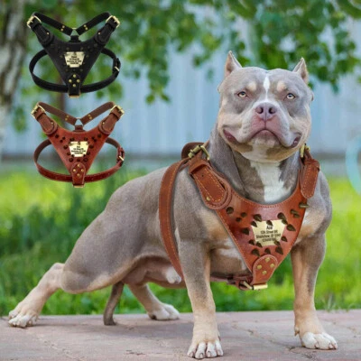 Personalized Real Leather Spiked Studded Big Dog Harness Name Pitbull Rottweiler - Image 1 of 4