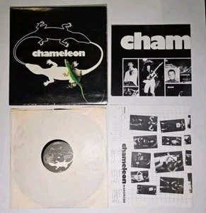 CHAMELEON Self-Titled Vinyl Record LP 1981 E-744 Lyric Sheet + Poster VG - Imagen 1 de 4