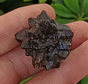 28g Natural Limonite & Hematite Pseudomorph After Marcasite - Prophecy Stone - Picture 1 of 12