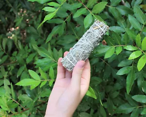 Blue Sage Smudge Stick 4-5 " (Herb, Remove Negative Energy, Smudge Bundle) - Picture 1 of 6