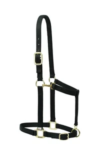 Weaver Leather Original Adj Nylon Draft Halter Medium Black 35-7638-BK - Picture 1 of 1