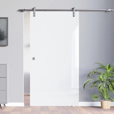 Soft Stop Edelstahl VSG Glasschiebetür Glastür weiß 900x2050 mm BV900WA - Bild 1 von 4