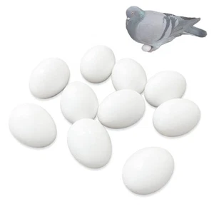 Solid Fake Eggs Dummy Pigeon Eggs for Guiding Racing Pigeons, Doves to Hatch ... - Picture 1 of 5