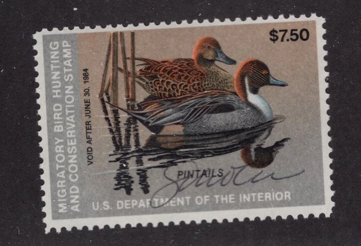 US FED DUCK HUNTING STAMP -  SCOTT# RW50 - SIGNED BY ARTIST - PHIL SCHOLER - MNH - Image 1 of 1