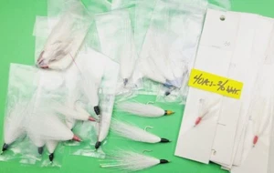 40 Stück - Bucktail Teaser Fliegen Salzwasserköder 2/0 weiß Posten Qualität handgebunden - Bild 1 von 5