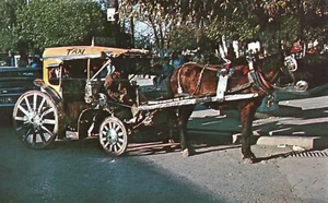 Taxi a Caballo Horse Drawn Carriage on Street 1970 Postcard - Picture 1 of 2