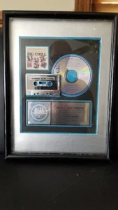 CCR / MARVIN GAYE / BEACH BOYS - "BIG CHILL" ORIGINAL RIAA PLATINUM RECORD AWARD - Bild 1 von 5