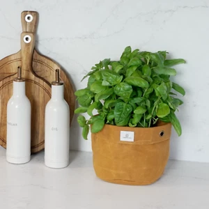 Waxed Canvas Handmade Hanging Planter 6" Dijon Yellow - Picture 1 of 8