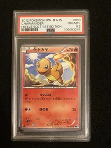 Pokemon Card PSA 8.5 CHARMANDER #010 Black & White Freeze Bolt BW6 Japanese - Picture 1 of 2