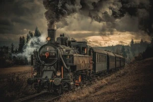 Gold digger train by Hubert Bichler Photography Print on Paper or Canvas - Picture 1 of 3