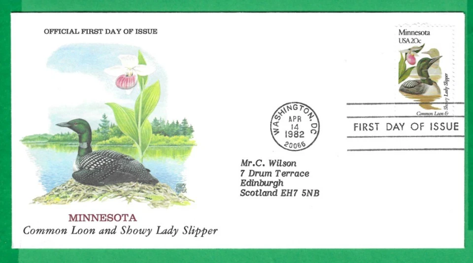 USA ~ STATE BIRDS & FLOWERS ~ MINNESOTA COMMON LOON & SHOWY LADY ~ 14th APR 82 - Image 1 of 1