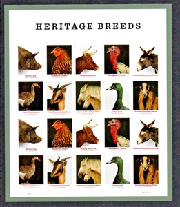 U.S. #5583-5592 MNH, HERITAGE BREEDS, FOREVER SHEET,  FV $15.60 (2021) - Picture 1 of 2