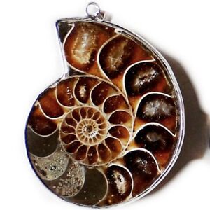  Handmade Huge 100% Genuine  Ammonite Fossil Gemstone Silver Necklace Pendants