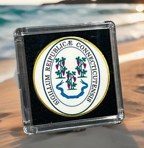 Grande Stato del CONNECTICUT Sigillo di Stato Moneta/CUSTODIA Sfida Colorata da Collezione - Foto 1 di 2